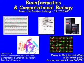 Bioinformatics &amp; Computational Biology Podcast for Frontiers in Biology - ISU 7/13/06