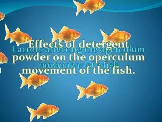 Factors affecting the operculum movement of a fish