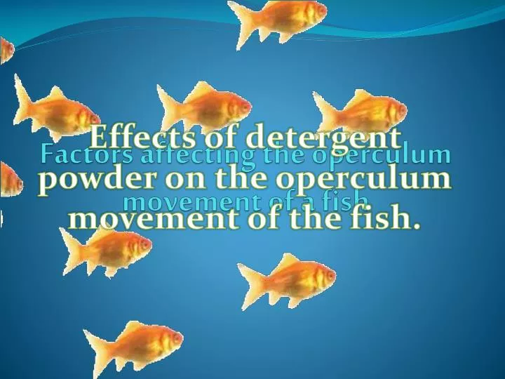 factors affecting the operculum movement of a fish