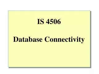 IS 4506 Database Connectivity