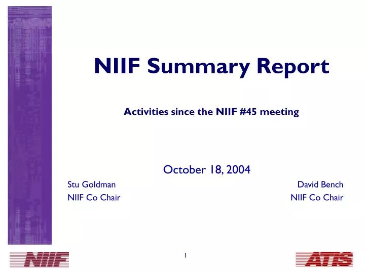 niif summary report activities since the niif 45 meeting