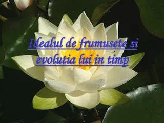 idealul de frumusete si evolutia lui in timp