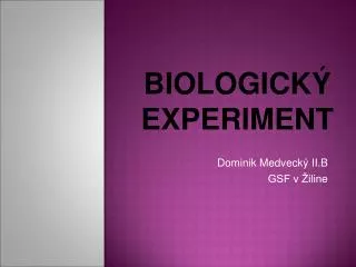 dominik medveck ii b gsf v iline