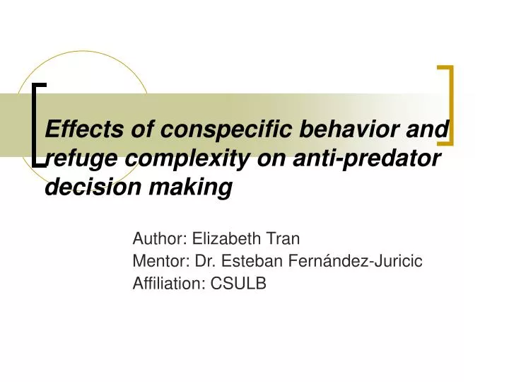 effects of conspecific behavior and refuge complexity on anti predator decision making