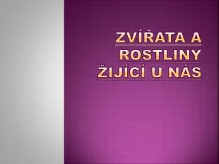 zv ata a rostliny ij c u n s