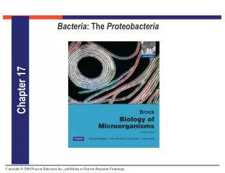 Bacteria : The Proteobacteria
