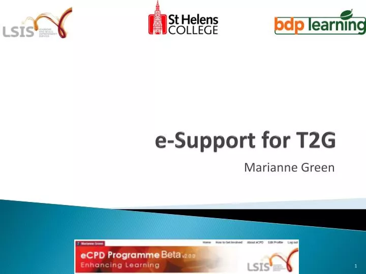 e support for t2g