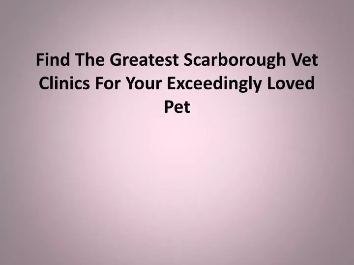 find the greatest scarborough vet clinics for your exceedingly loved pet