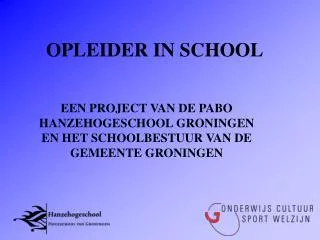 opleider in school