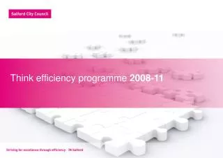 Think efficiency programme 2008-11