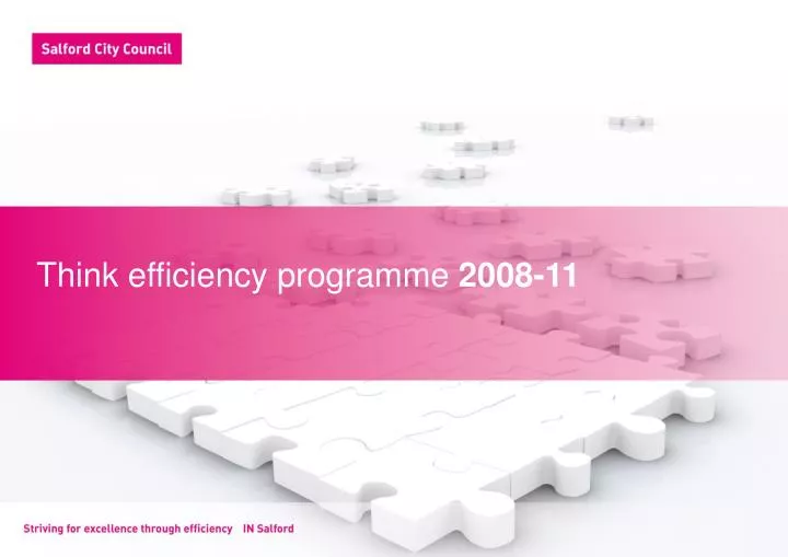 think efficiency programme 2008 11