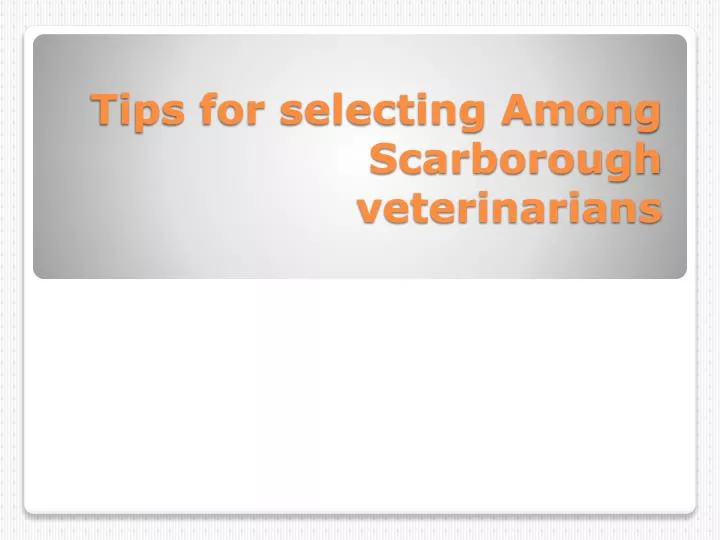 tips for selecting among scarborough veterinarians