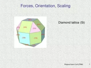 Forces, Orientation, Scaling
