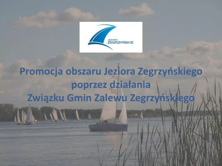 promocja obszaru jeziora zegrzy skiego poprzez dzia ania zwi zku gmin zalewu zegrzy skiego