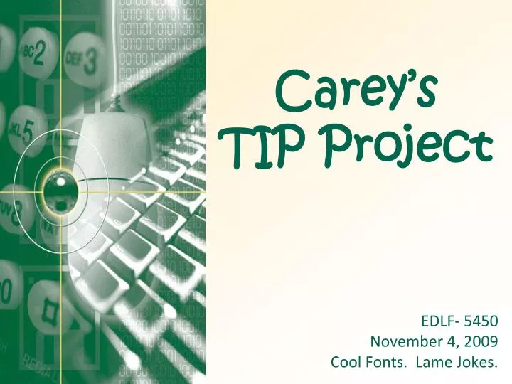 carey s tip project