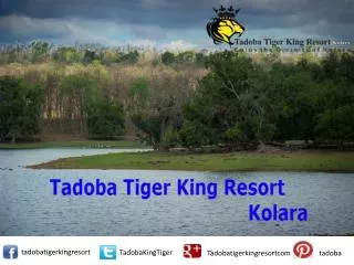 Tadoba Tiger King Resort and Services