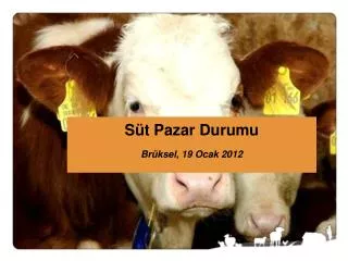 s t pazar durumu br ksel 19 ocak 2012