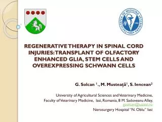 G. Solcan 1 ., M. Mustea?? 1 , S. Iencean 2