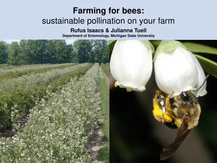 farming for bees sustainable pollination on your farm