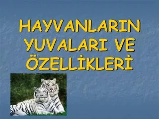 hayvanlarin yuvalari ve zell kler
