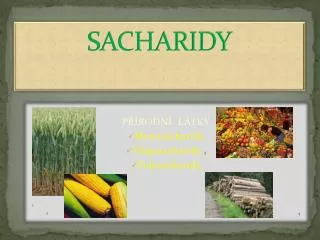 sacharidy