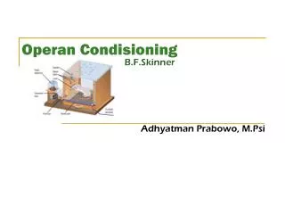 operan condisioning