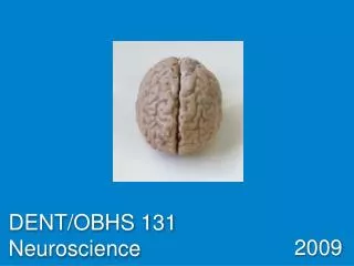 DENT/OBHS 131 Neuroscience