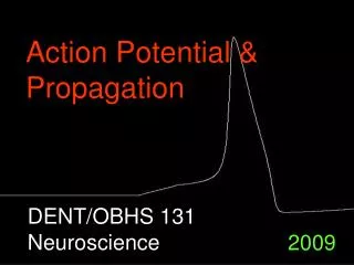 Action Potential &amp; Propagation