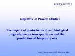 Impact of Photochemical and Biological Degradation on Iron Speciation and Biogenic Gases - slide 1