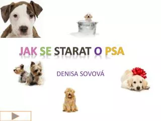 denisa sovov