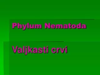 phylum nematoda