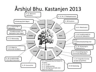 rshjul bhu kastanjen 2013