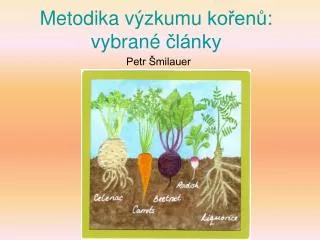 metodika v zkumu ko en vybran l nky