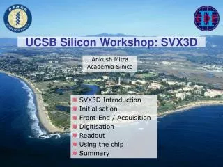 UCSB Silicon Workshop: SVX3D