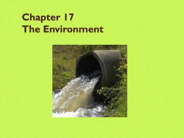 chapter 17 the environment