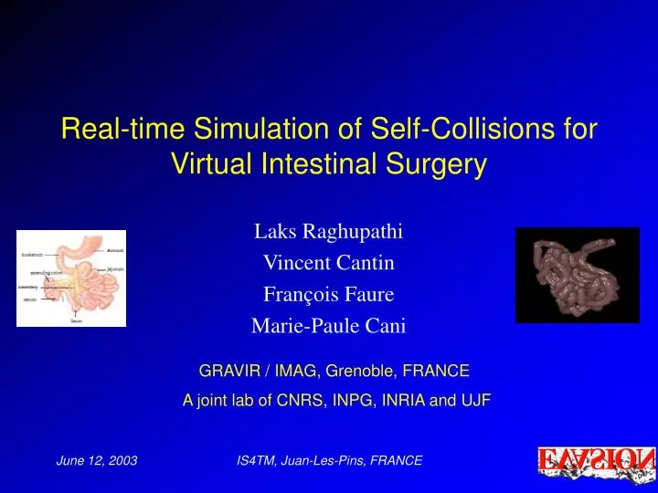 real time simulation of self collisions for virtual intestinal surgery