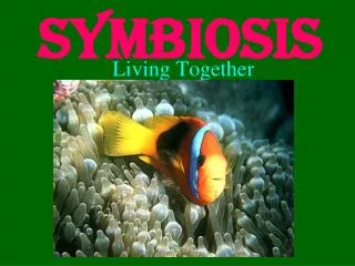 Symbiosis