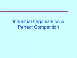Industrial Organization &amp; Perfect Competition