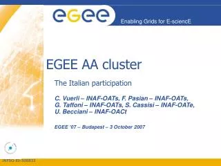 EGEE AA cluster