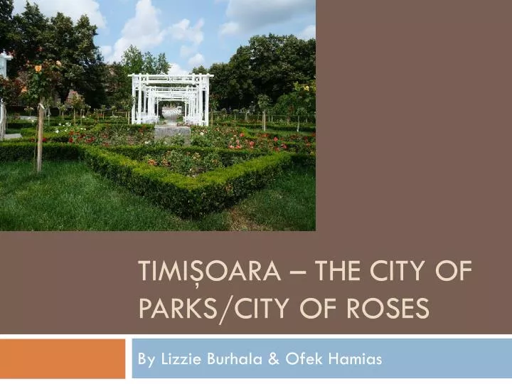 timi oara the city of parks city of roses