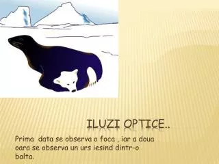 prima data se observa o foca iar a doua oara se observa un urs iesind dintr o balta