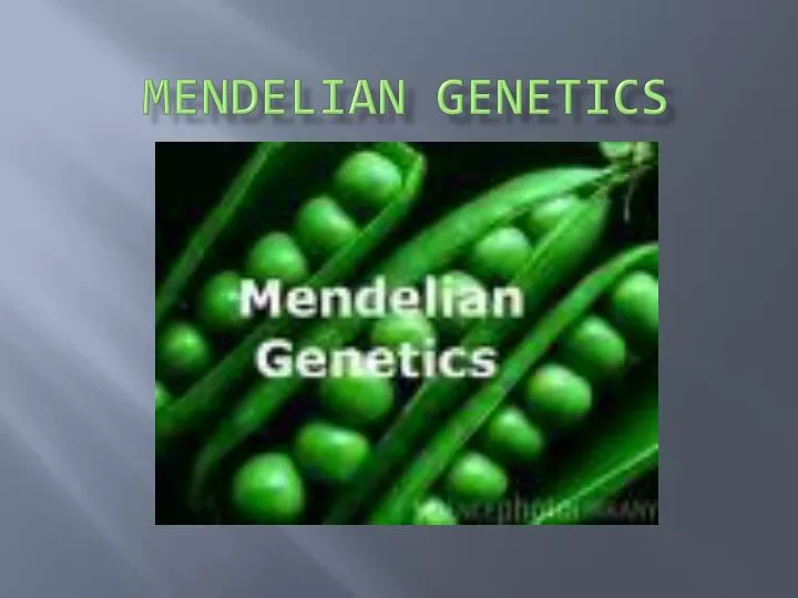 mendelian genetics