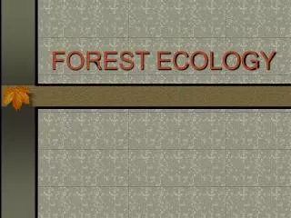 forest ecology