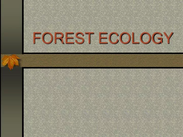 forest ecology