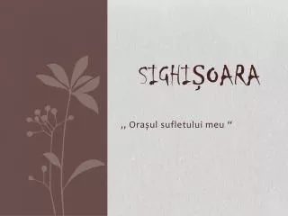 sighi oara