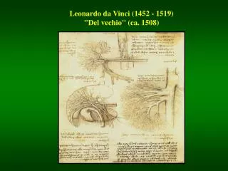 Leonardo da Vinci (1452 - 1519) &quot;Del vechio&quot; (ca. 1508)