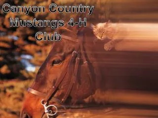 Canyon Country Mustangs 4-H Club