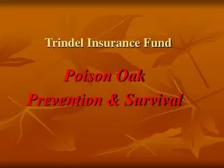 Trindel Insurance Fund