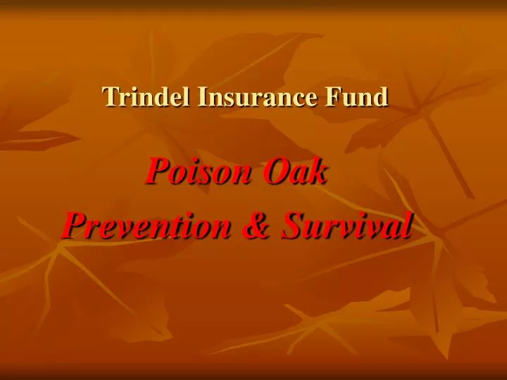 trindel insurance fund