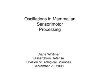 Oscillations in Mammalian Sensorimotor Processing